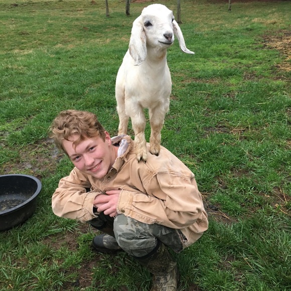 Meet your Posher, the Old Goat - Picture 9 of 13